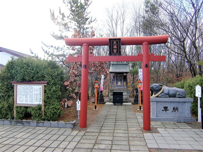 ۖЂɂ͓VЁA׎ЁA_ЁI