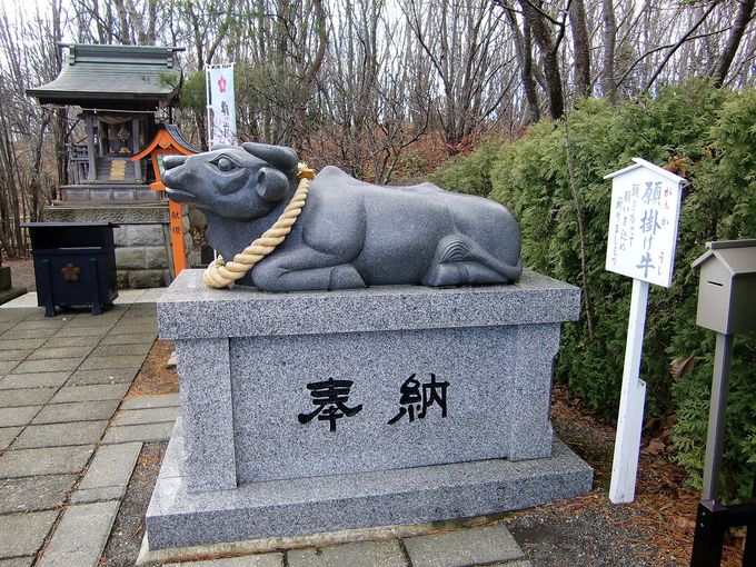 ΂Ɗ|𕏂łĊ肢悤I