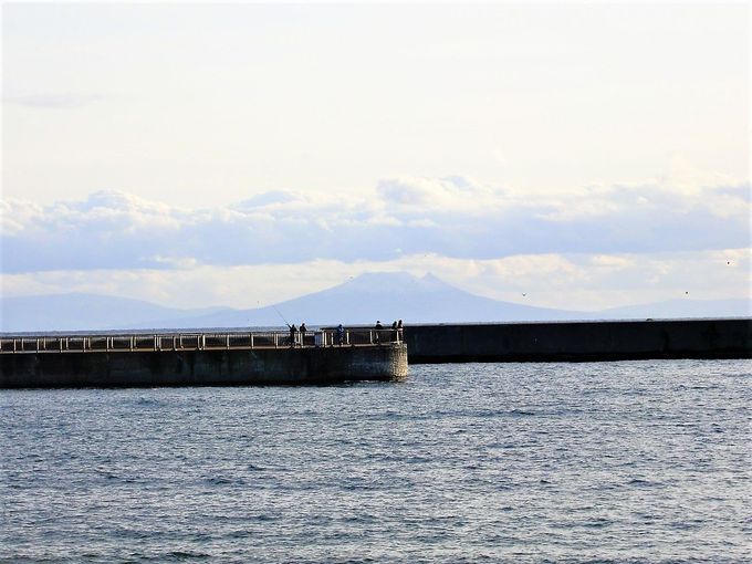 �q���͑S���I�[�V�����r���[�I