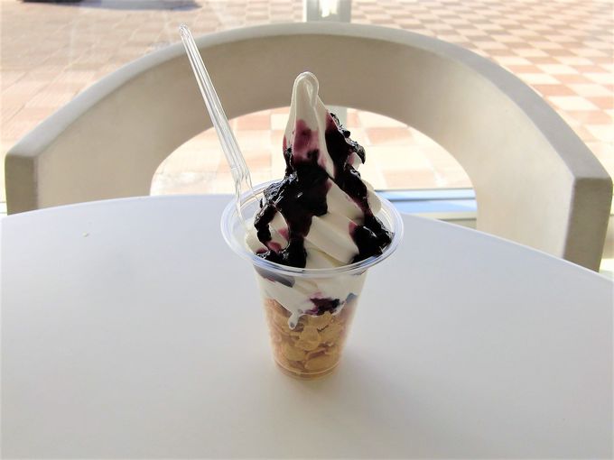 TYiR[i[ɂnHގgp̌yHI