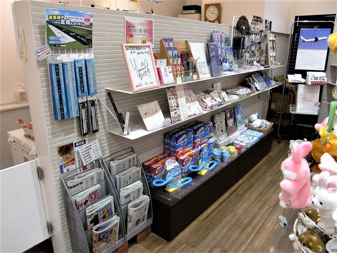 1�K�uhana AIRPORT SHOP&CAFE�v�ɂ͂����ɂ����Ȃ��y�Y���I