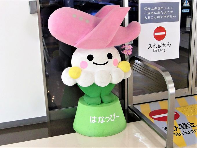 1�K�uhana AIRPORT SHOP&CAFE�v�ɂ͂����ɂ����Ȃ��y�Y���I