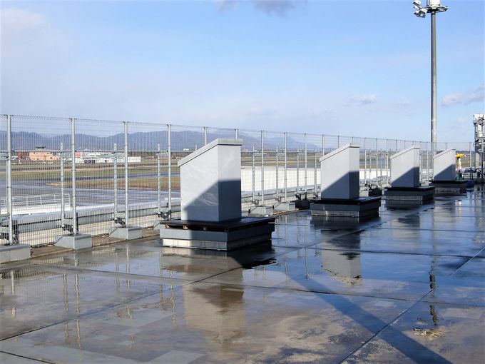 3�K�W�]�f�b�L�Ƌ��^�[�~�i�������`�𒭂߂Ă݂悤�I