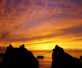 [ꂢIqŎR\ł閼RI̋LTlC