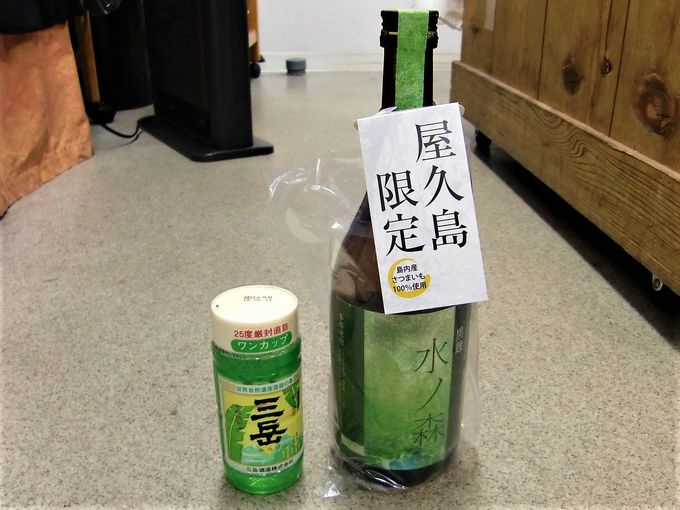 {VYD^[~itXɂ͒nɁu͂D_vI