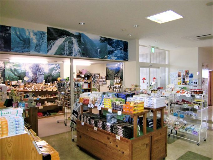 [`͍D`IvLOق암ւ̍Ŋ`