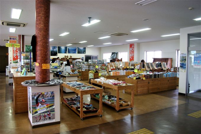 {VYDҍXɂ͒nHރACXXXI