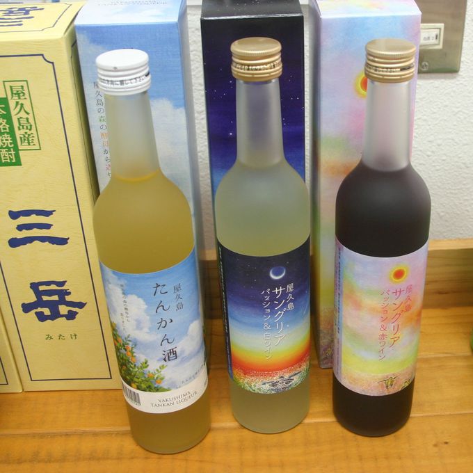 {VYD^[~itXɂ͒nɁu͂D_vI