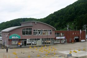 �k�C�����K�`�t�F���[�^�[�~�i���͓��̃O�����ɓy�Y���������I�̋L���T���l�C��