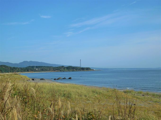 o`[vȋLO͐Α̋I߂ɂ͗lC