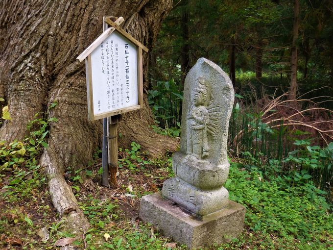 ΂ɑςɎO\OωȊׂPR͍̖