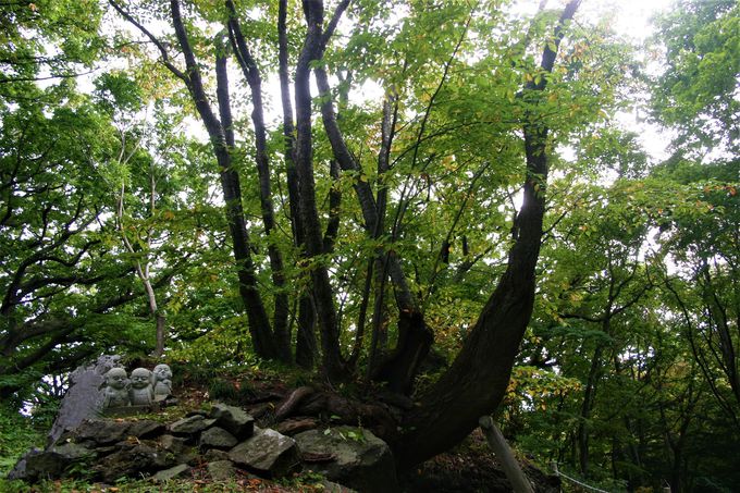 ΂ɑςɎO\OωȊׂPR͍̖