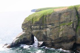 iɓǒnIuƉԂ̖Xv𑖂낤̋LTlC