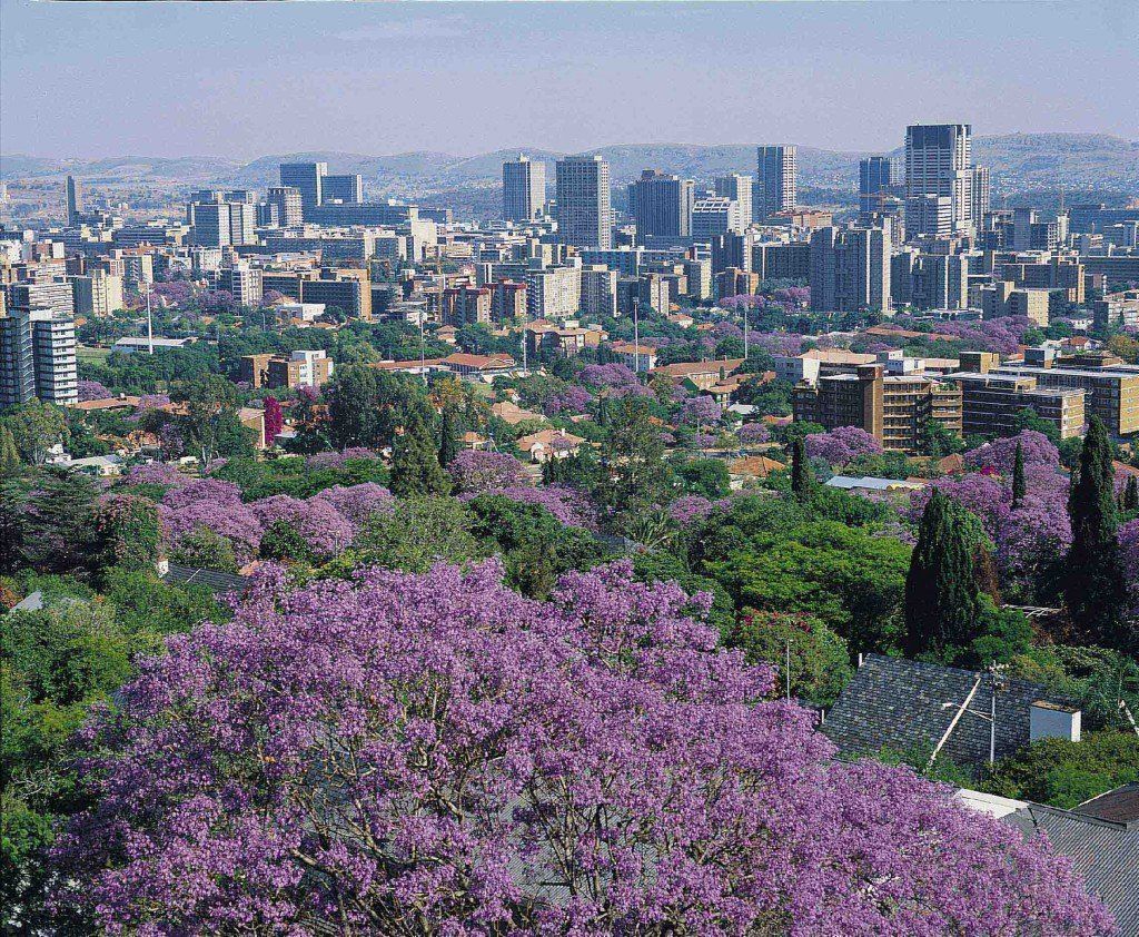南アフリカ最大の都市「ヨハネスブルグ」を楽しもう