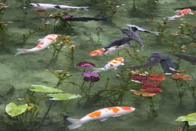 �܂�ŊG��I����������u���l�̒r�v�͊򕌂̐V�����̋L���T���l�C��