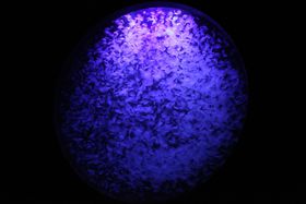 �R�`���u���ΐ����فv�͐��E���F�߂��N���Q�̐����ق̋L���T���l�C��