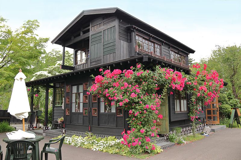 秋田・武家屋敷カフェ「ねずねこ」は昭和レトロな癒しの空間