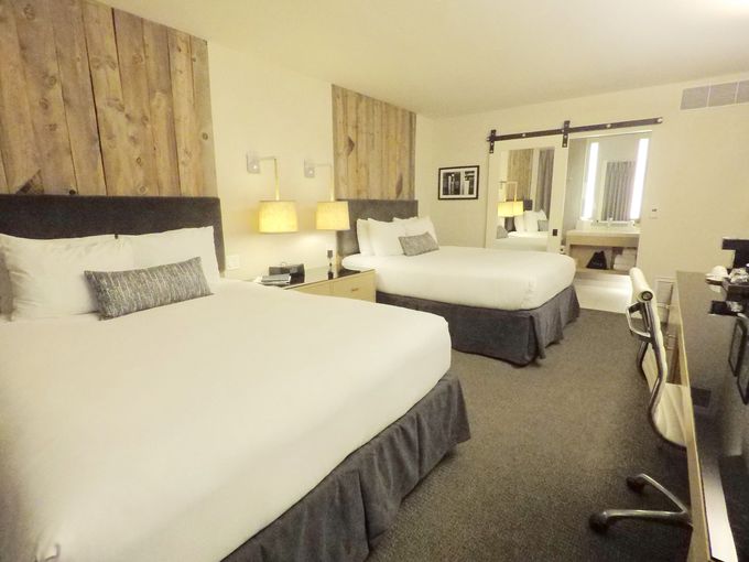 ׂĂ悢uHotel ParadoxvŉKȃXeCI