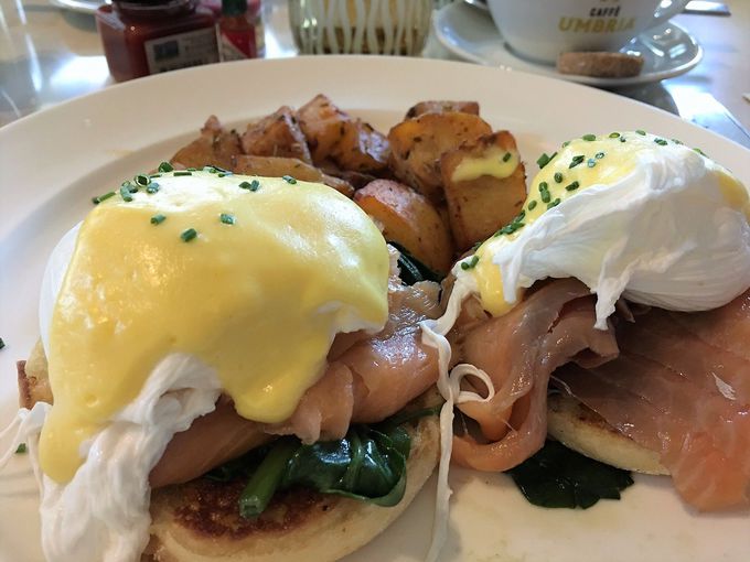 J܂ȂIXguQuattrovł̒H