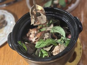 �J�[�����������g���[�ŏ��閼���p���P�[�L����~�V�������܂�