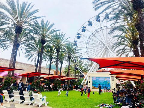 �Ăɍs���ׂ��A�����J�ό��X�|�b�g10�I ���s�v��͂����߂ɂ̋L���T���l�C��