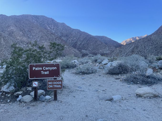 ŃnCLOuBorrego Palm Canyonv