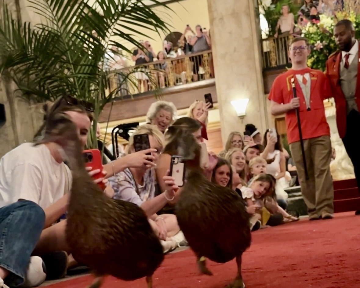 ���E�ň�ԗL���ȃA�q���̂���u�s�[�{�f�B�z�e���v