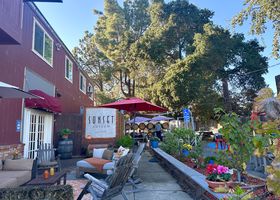 2025�S��No.1���C���n��E�t�F�A�t�B�[���h�ŐH�̖��͗��̋L���T���l�C��