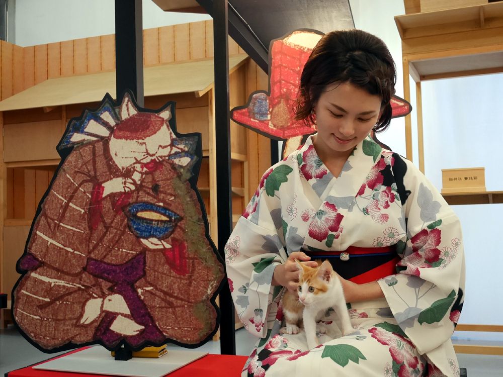 猫達とのふれあいが楽しい