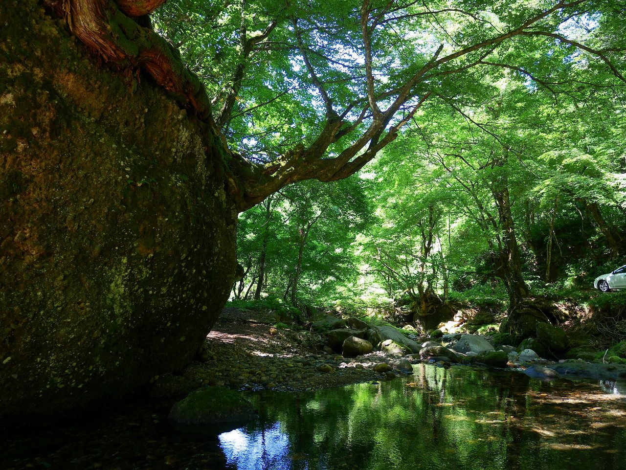 馬場目川の清流に癒されて