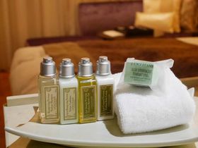 �A���j�e�B�����N�V�^���I�u�O��K�[�f���z�e�����v���~�A�v�̋L���T���l�C��