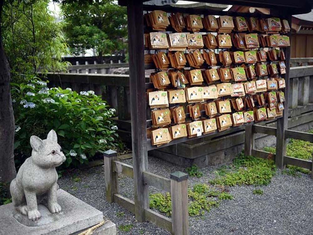 不思議な“猫返し神社”！東京・立川の阿豆佐味天神社・立川水天宮