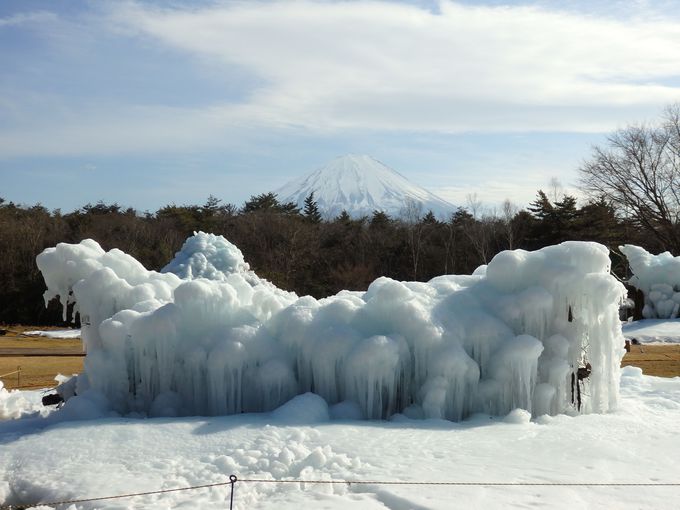 6．西湖樹氷まつり／富士河口湖町
