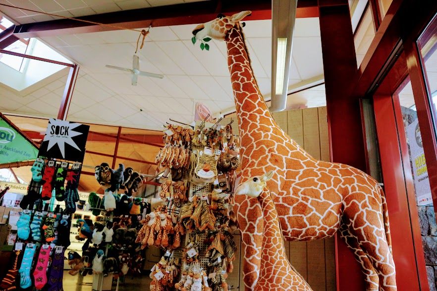 大都市に広がる動物の楽園 Nz オークランド動物園 ニュージーランド トラベルjp 旅行ガイド