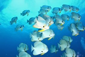 鋫I^C̃_Co[YVE^I̋LTlC