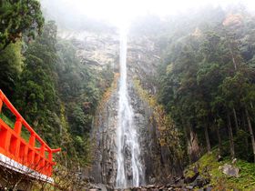 和歌山4つの世界遺産を半日で巡る「那智大社・青岸渡寺・那智の滝」入門ルート