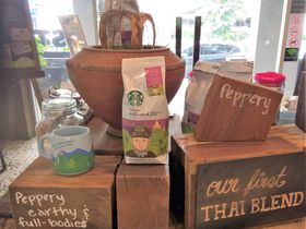 Pt̃R[q[ЉvɁIT[rXڂȃ^C̃X^őLTlC