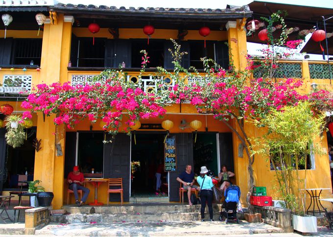 �z�C�A���̓�����`�F�b�N