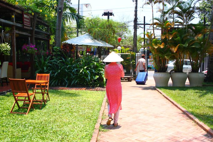 �z�C�A���Ŕ���������Ȃ�I�[�_�[���C�h�������