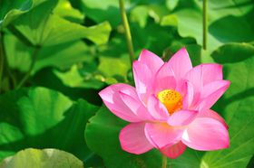 1400Nȏ̖肩o߂Ñ@ɍsI@ʌscs@Ñ@̗̋LTlC