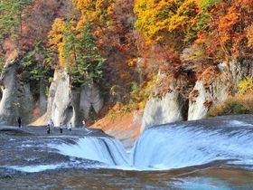 関東3大瀑布の紅葉あなたはどこに行きますか?茨城県・袋田の滝or群馬県・吹割の滝or栃木県・華厳の滝