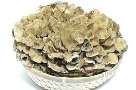 񂵂ĊJ^IVϐƍEQ100@Qnas̋LTlC