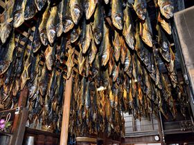 天井から下がる無数の鮭が圧巻！新潟県村上はグルメも充実!!