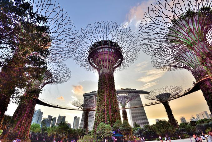 シンガポールは未来的な光景にあふれてる インスタ映えスポット 10選 トラベルjp 旅行ガイド