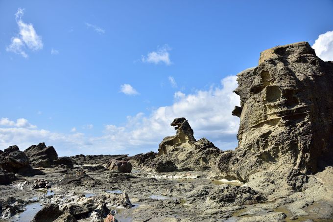 ６. 塩瀬崎 -ゴジラ岩-