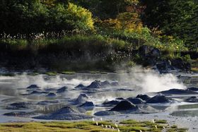 �厩�R�̑����������锗�͂̒n�M�n�сE�H�c���u�㐶�|���R�����H�v�̋L���T���l�C��