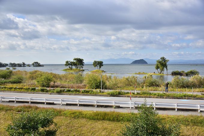 �Ζk�쒹�Z���^�[�Ƃ�