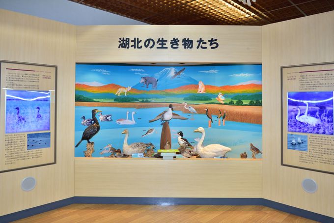 �Z���^�[���̗l�q