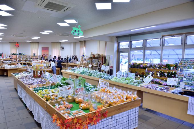 ���̉w�u�Ζk�݂��ǂ�X�e�[�V�����v