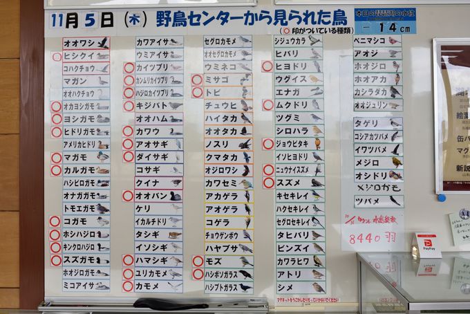 �Z���^�[���̗l�q